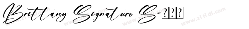 Brittany Signature S字体转换
